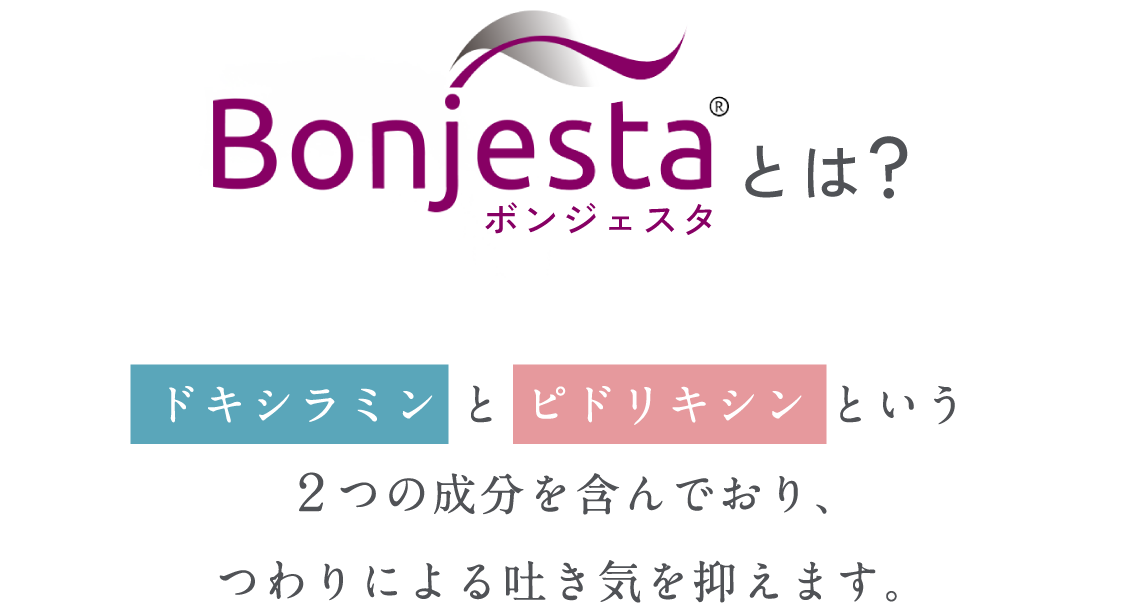 Bonjestaとは