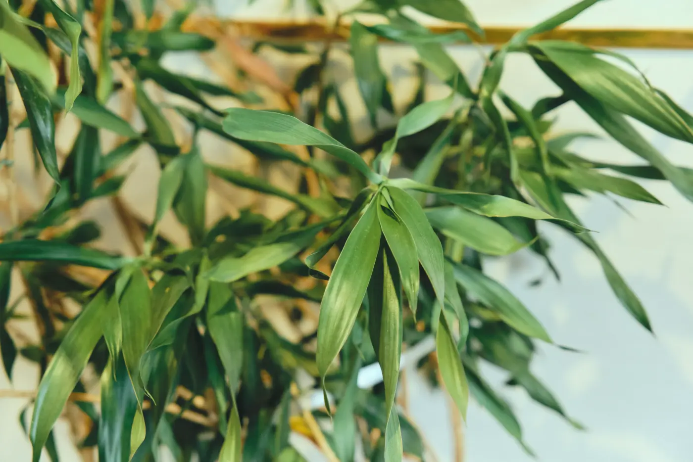 城南レディースクリニック旗の台 院内写真2