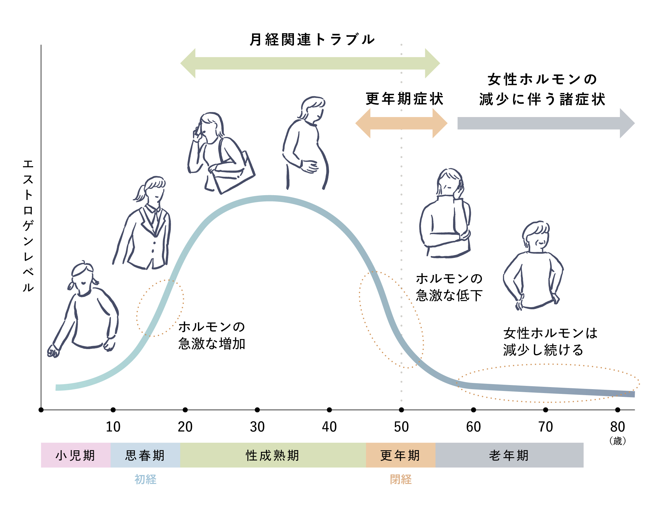 女性の一生におけるエストロゲンレベルの変化と各ライフステージの特徴を示す図
