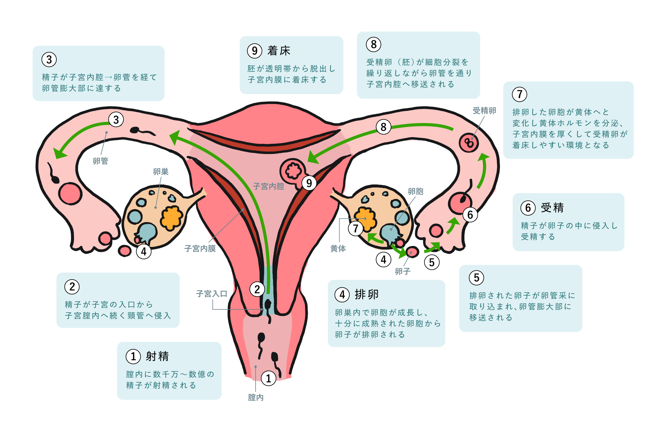 不妊症とは