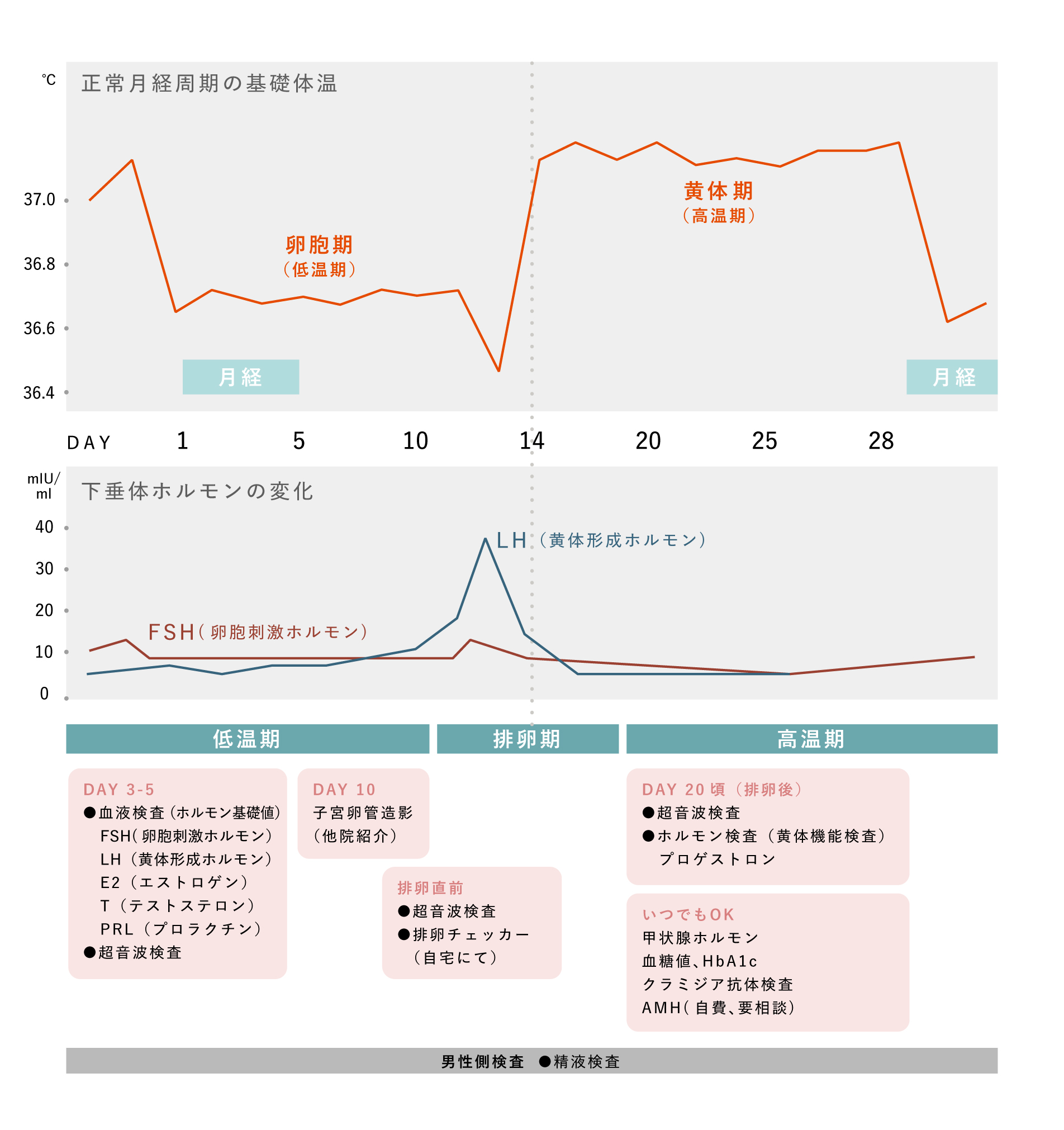 女性側の原因