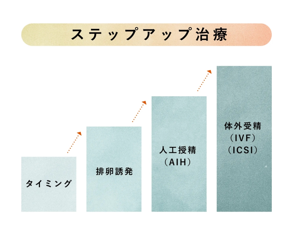 不妊の治療について