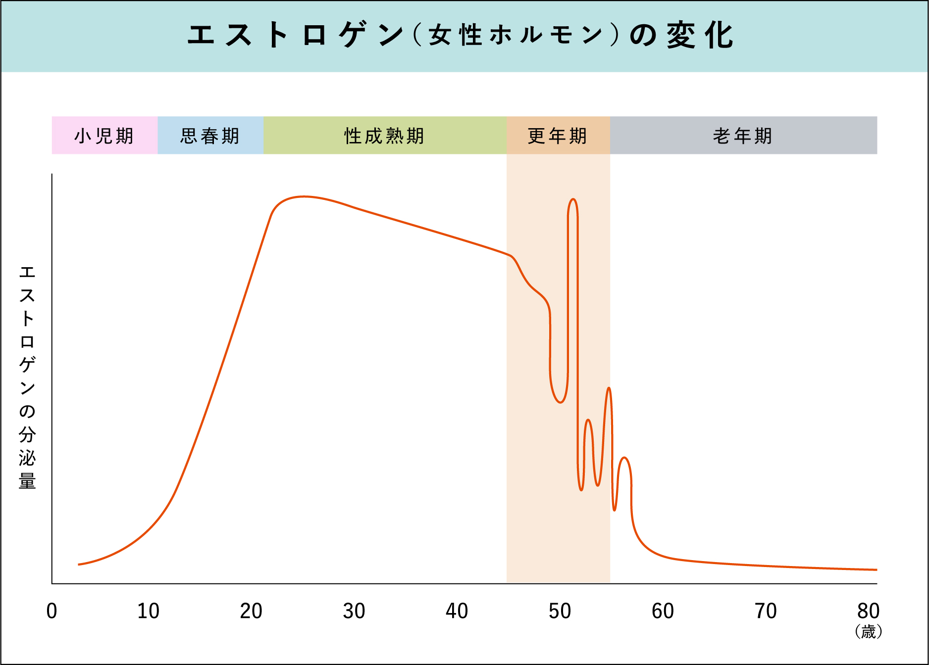 女性の一生におけるエストロゲン分泌量の変化を示すグラフ