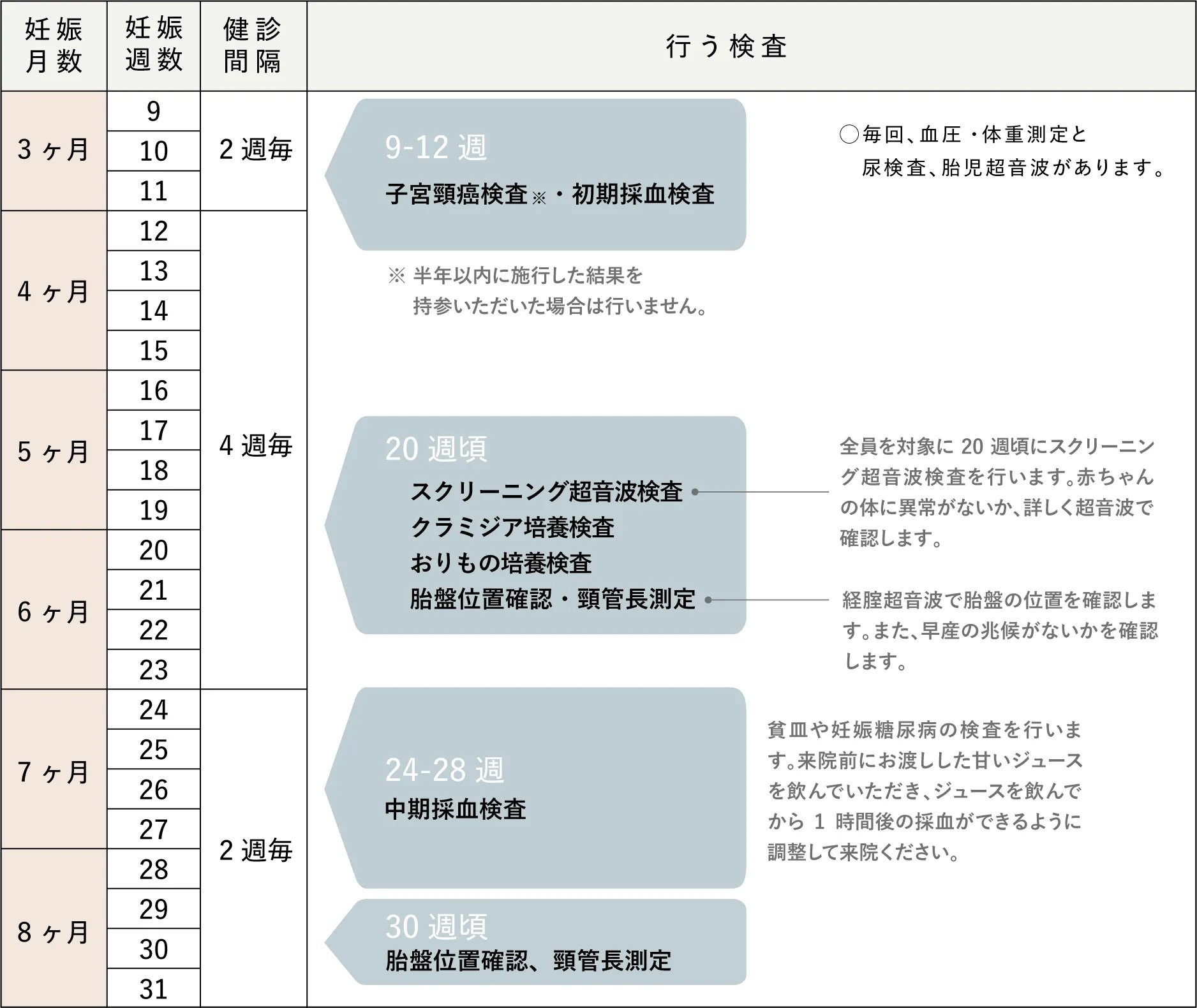 妊婦健診のスケジュール表（妊娠月数・週数別の検査内容一覧）