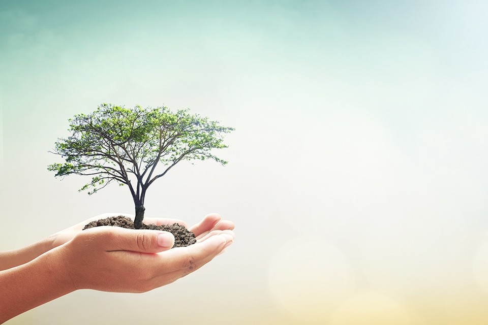 卵子凍結をご希望の方へ