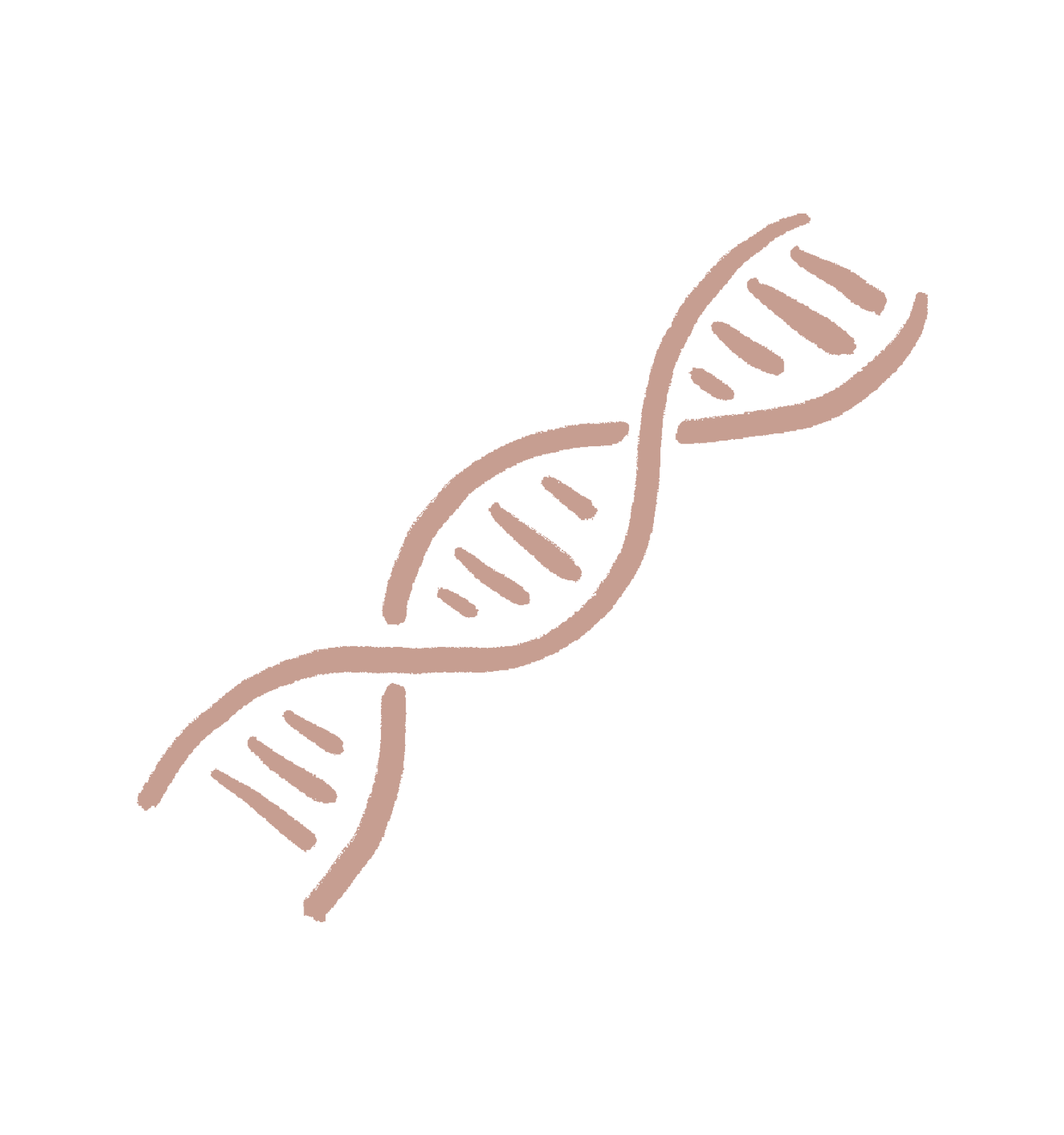 その他出生前診断