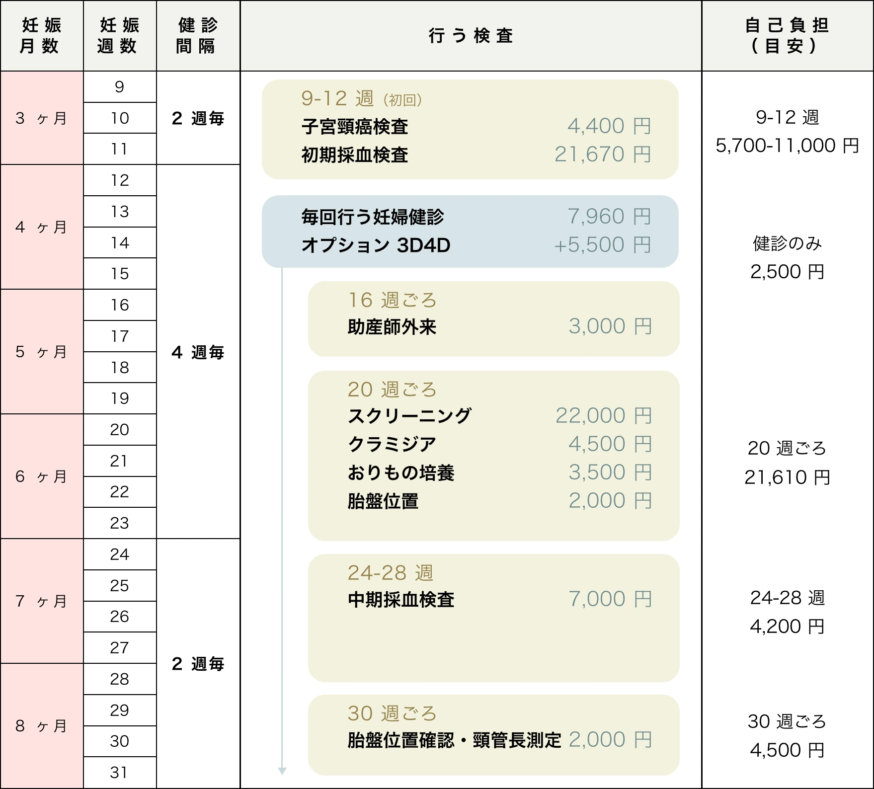 妊娠月数・週数別の妊婦健診スケジュールと検査費用一覧表