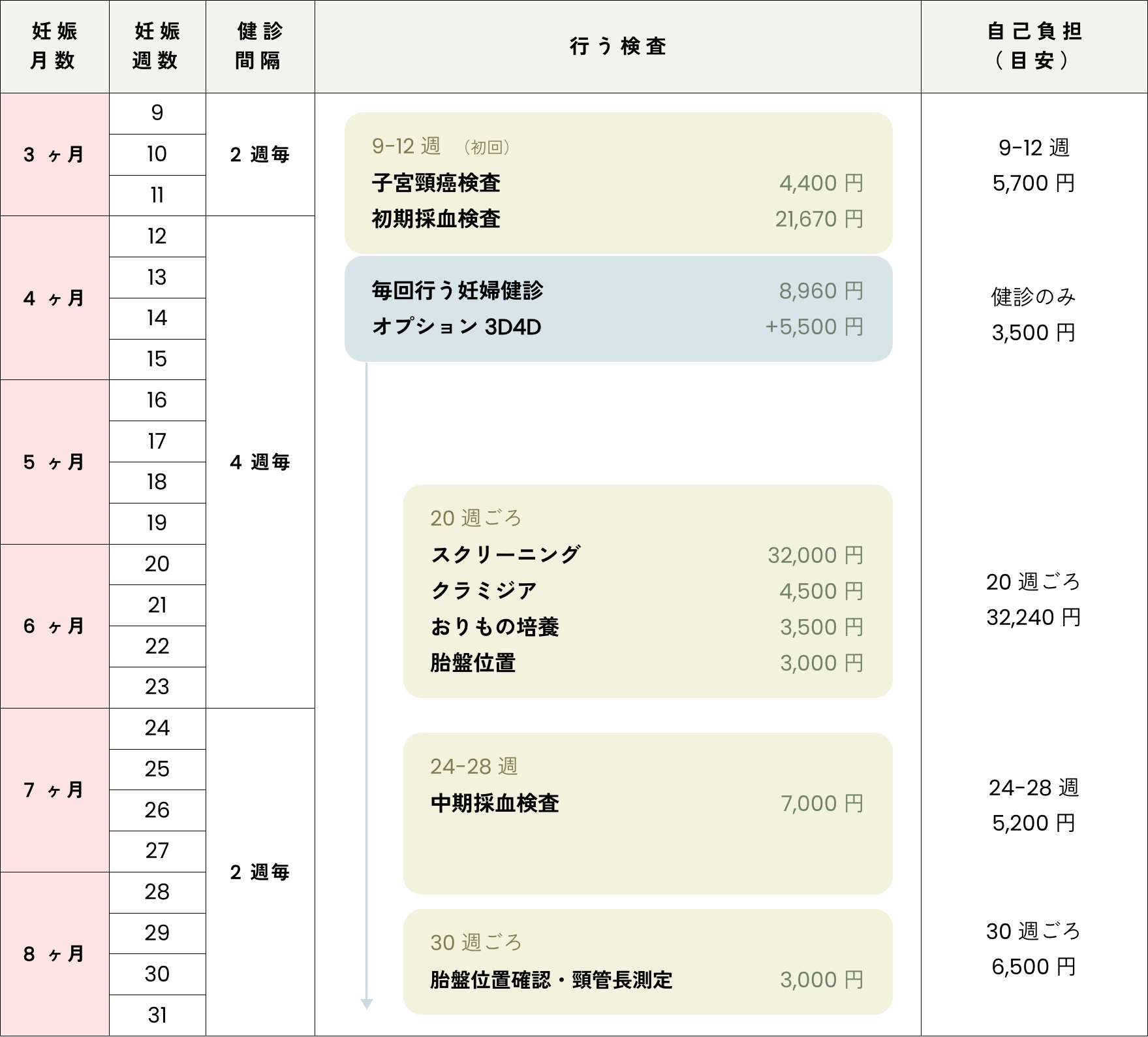 妊娠月数・週数別の妊婦健診スケジュールと検査費用一覧表