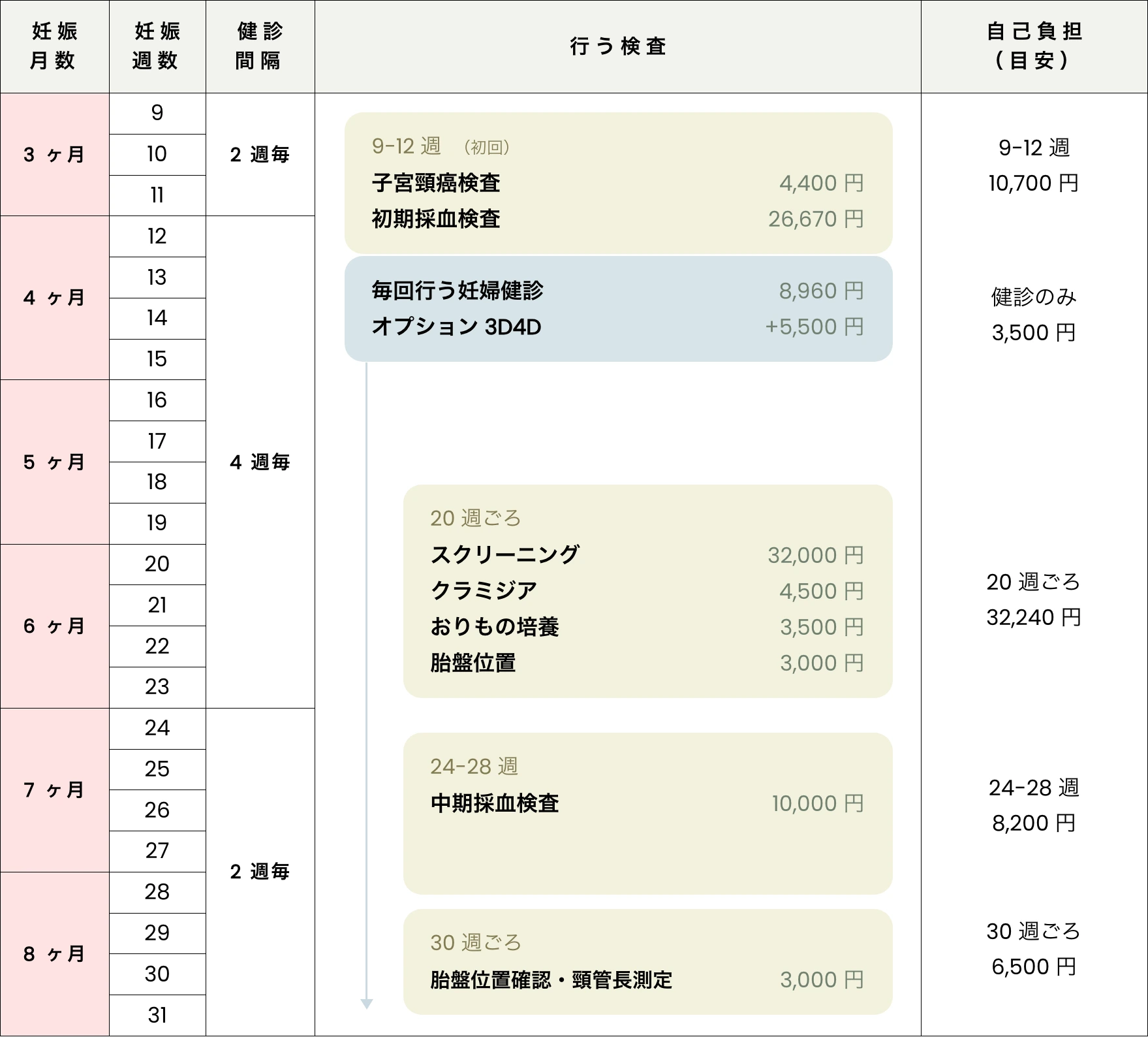 妊娠月数・週数別の妊婦健診スケジュールと検査費用一覧表
